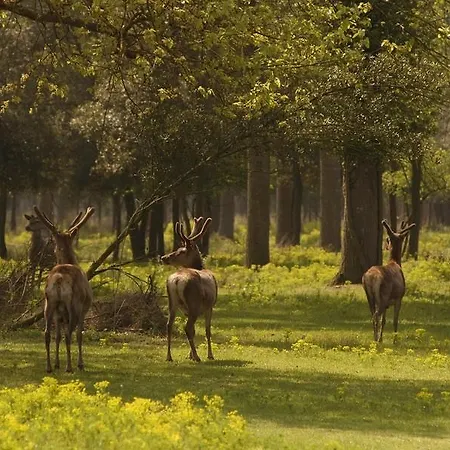 Feriegård Il Dosso Codigoro