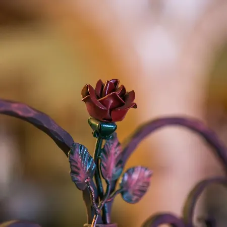 Il Dosso * קודיגורו