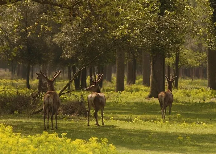 Alloggio per agriturismo Il Dosso Codigoro